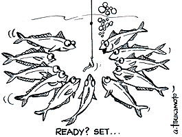 cartoon