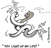 cartoon