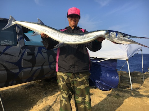 giant needlefish